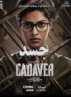 جسد